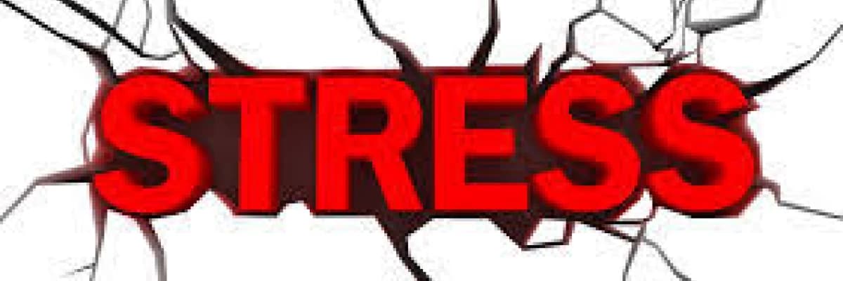 Strese Modern Bakış