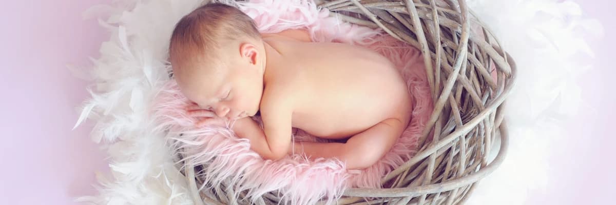 YUMURTA DONDURMA NE KADAR BAŞARILI?