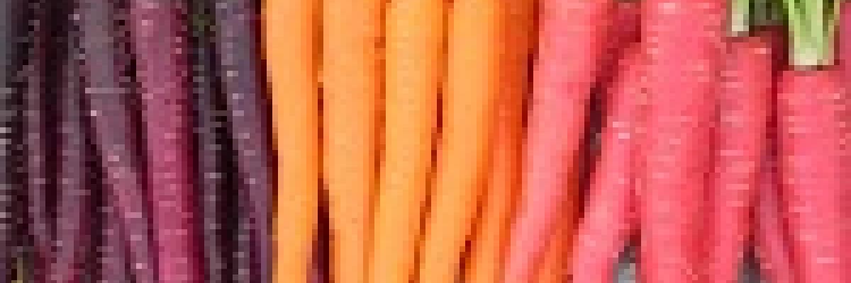 Doğanın mucizeleri