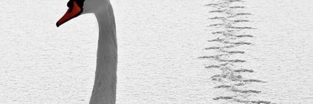 7 Adımda Bedenini Kışa Hazırla