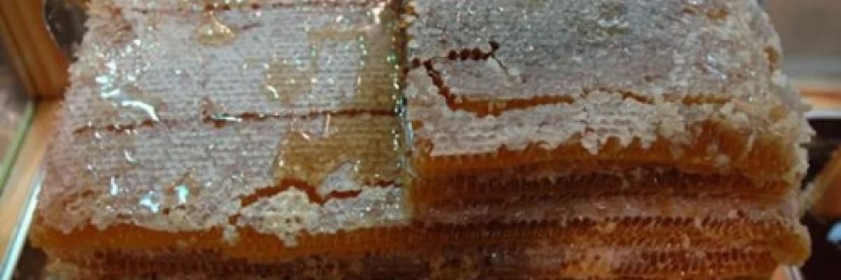 DOĞANIN MUCİZE ŞEKERİ