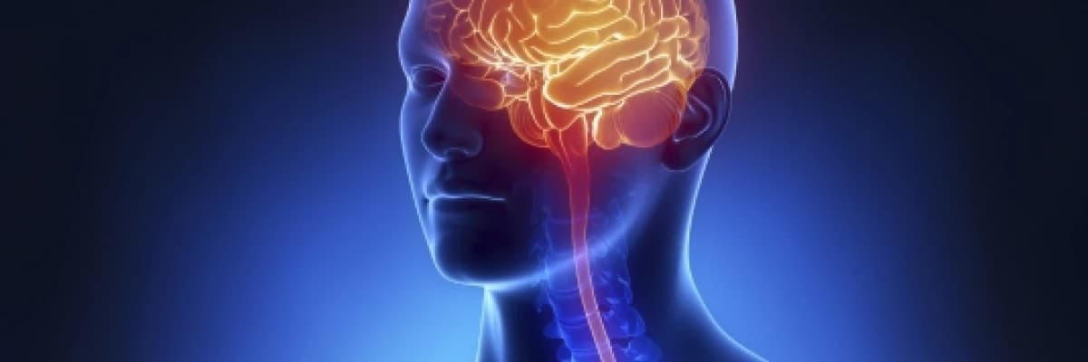 Beyin Kanamaları Nedenleri, Belirtileri ve Tedavisi