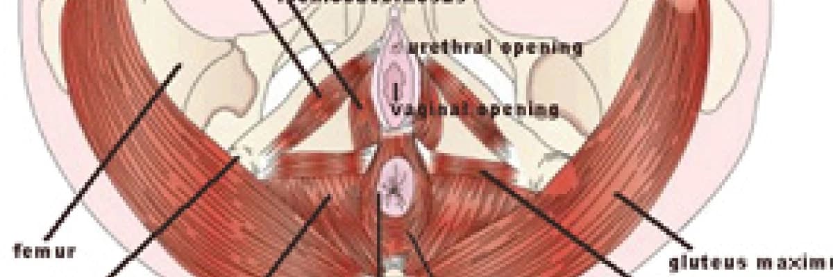 Vajinismus ve Kegel Egzersizlerı