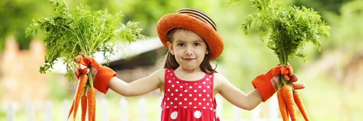 Sağlıklı Atıştırmalıklar