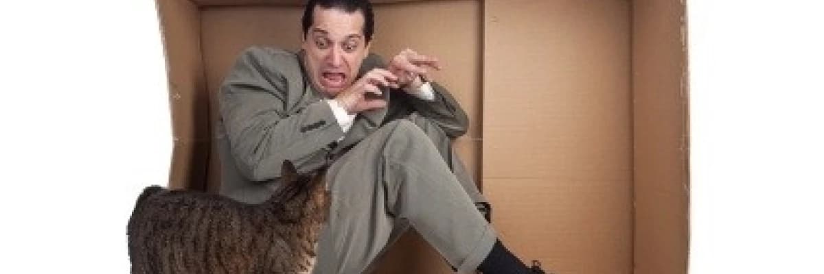 Belki Sizde de Olan Ama Farketmediğiniz İnanılmaz Fobiler