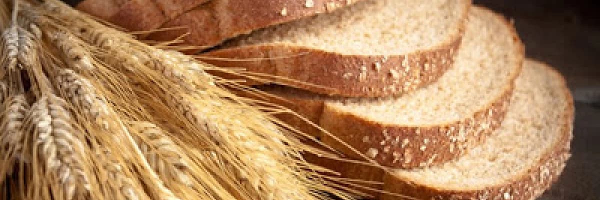 Buğday alerjisi kronikleşmiş ise fark etmek güçtür...