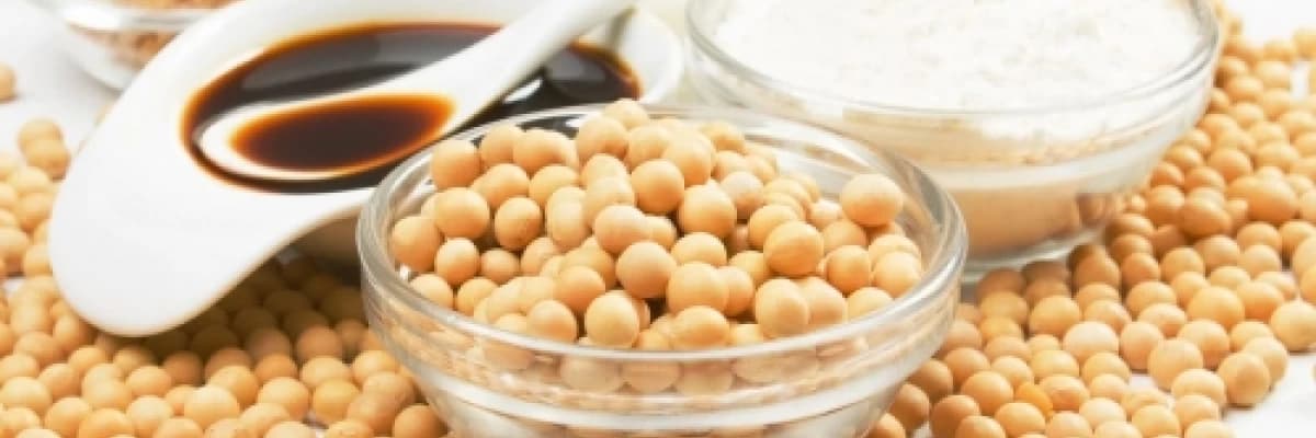 Soya tüketmenin akciğer kanserli kadınlarda yararlı olduğu söyleniyor