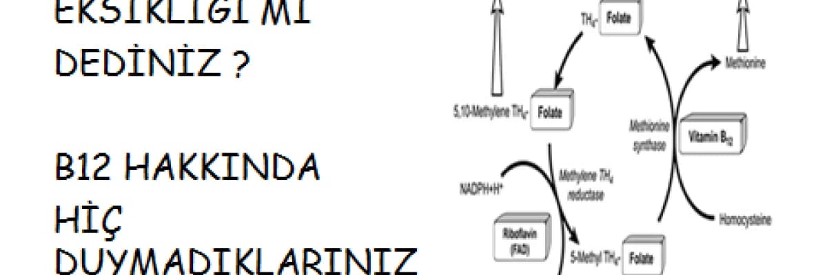 B12 Eksikliği mi Dediniz? B12 Hakkında Hiç Duymadıklarınız!