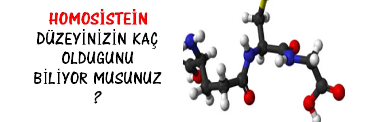 Homosistein Düzeyinizin Kaç Olduğunu Biliyor musunuz?