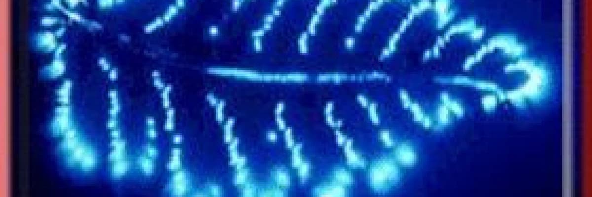 Biorezonans ve Alerji Tedavisi