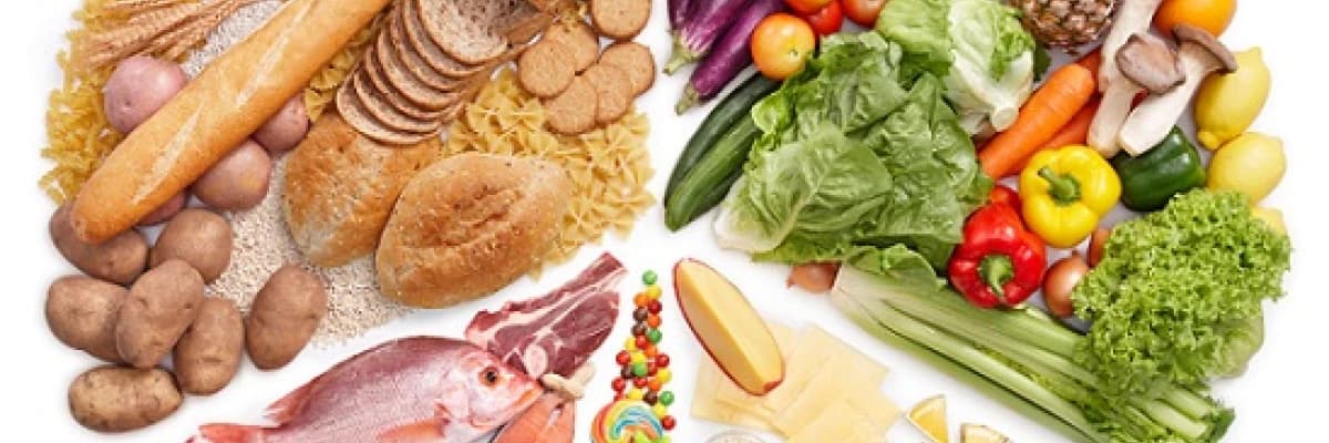 Besin Grupları Nelerdir?