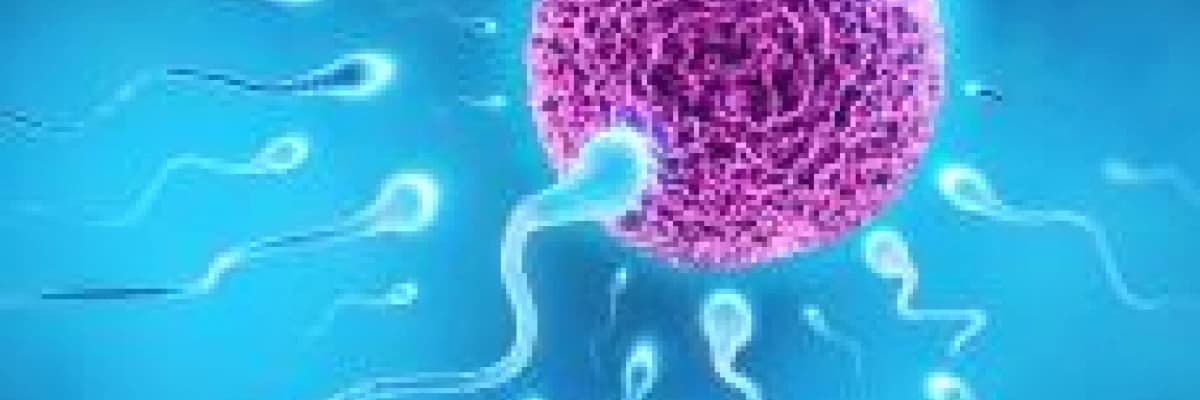 BAŞARISIZ TÜP BEBEK DENEMELERİNDE SPERM TEDAVİSİ