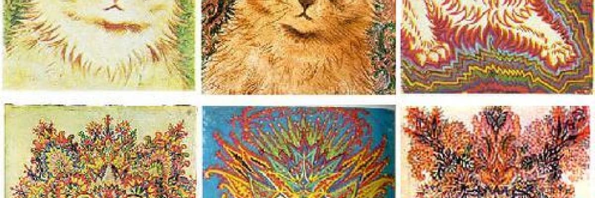 Şizofren Olur muyum?