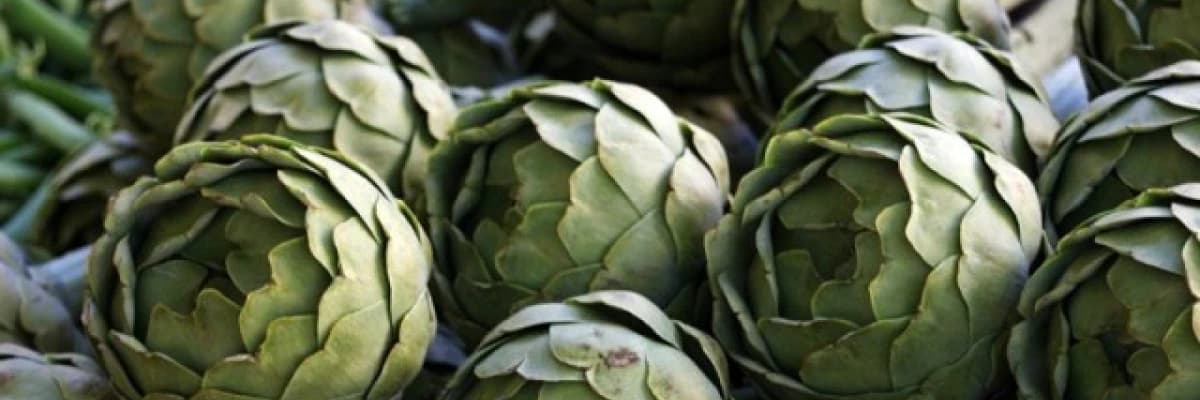 BAHARDA ENGİNAR İLE YENİLENİN!