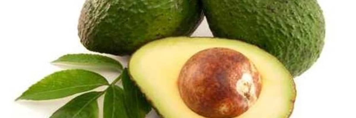 Bir başka  kalp dostumuz da avakado