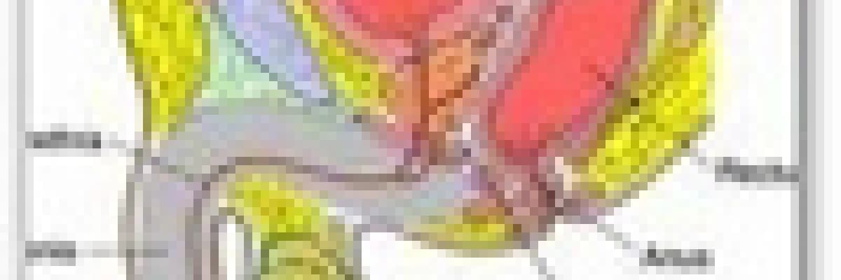 Prostatit nedir? Tedavi Yöntemleri nelerdir?