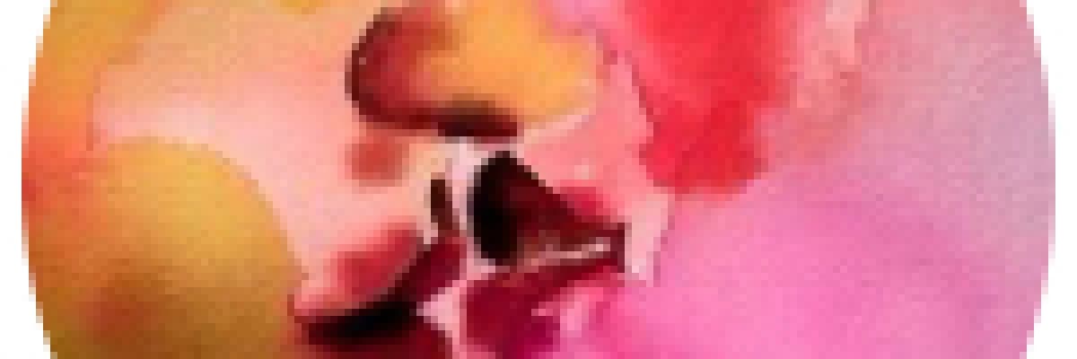 Gençlerin Karşılaştığı Cinsel Şiddet