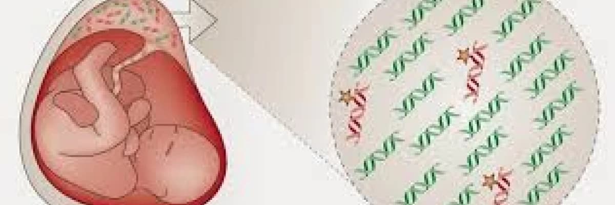 Hamilelikte yeni bir genetik test; Serbest Fetal DNA Testi