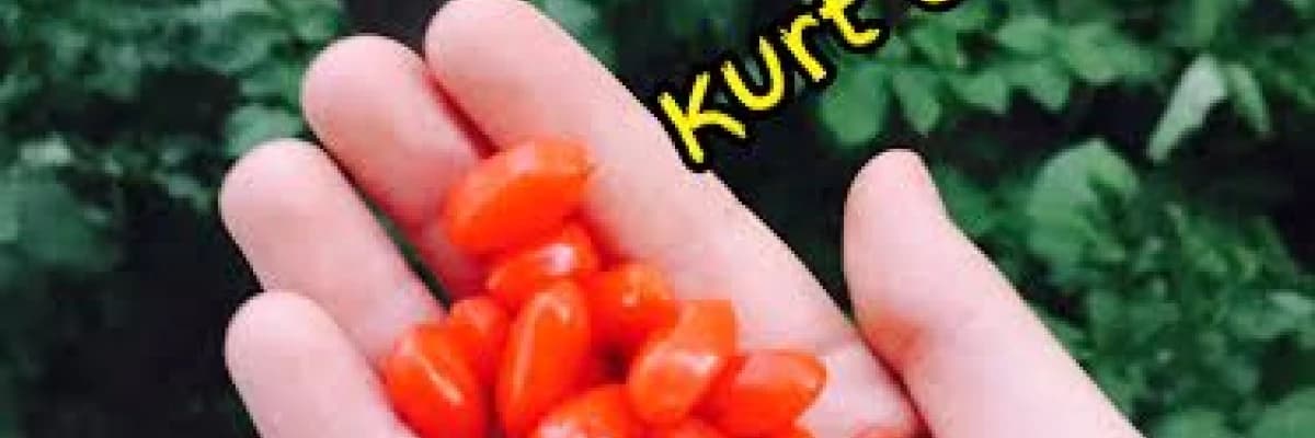 Goji berry zayıflatıyor mu?