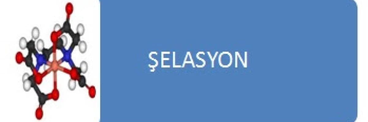 Vücuttaki toksinlerden nasıl kurtulabilirim?