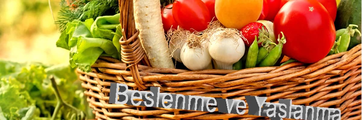 AMELİYAT SONRASI NASIL BESLENMELİYİM ?