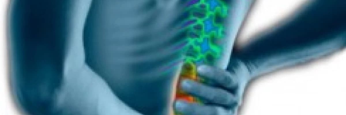 Bel Fıtığı Hakkında Bilmezi Gerekenler