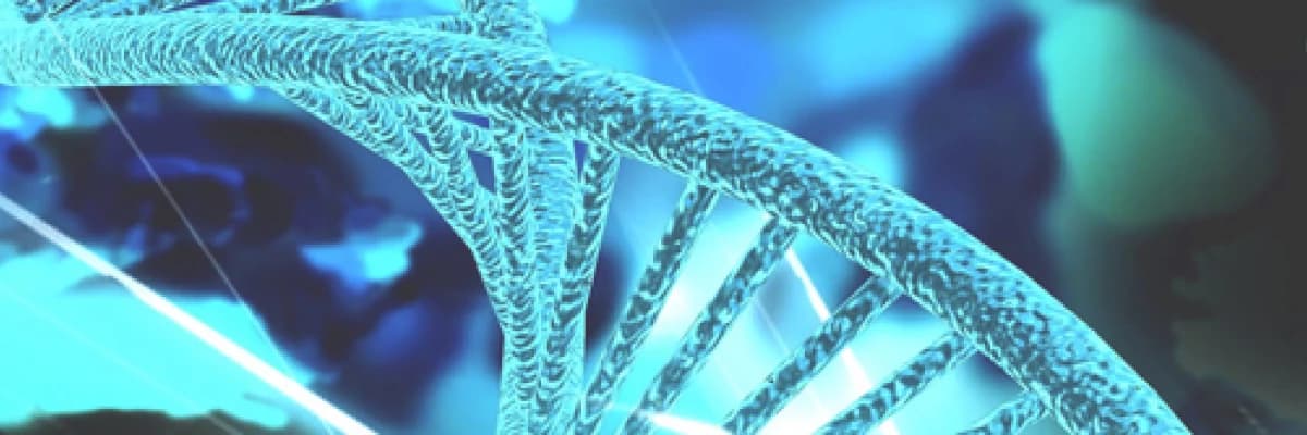 Genetik Pedigri Nedir?