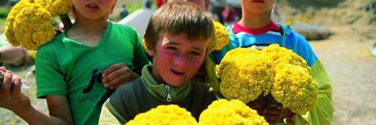 Çocuklar Hangi yaşta hangi sorumlulukları alabilir?