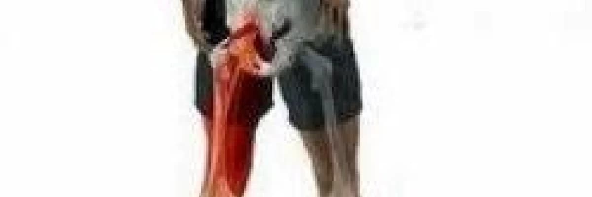 BEL VE BACAK AĞRILARI