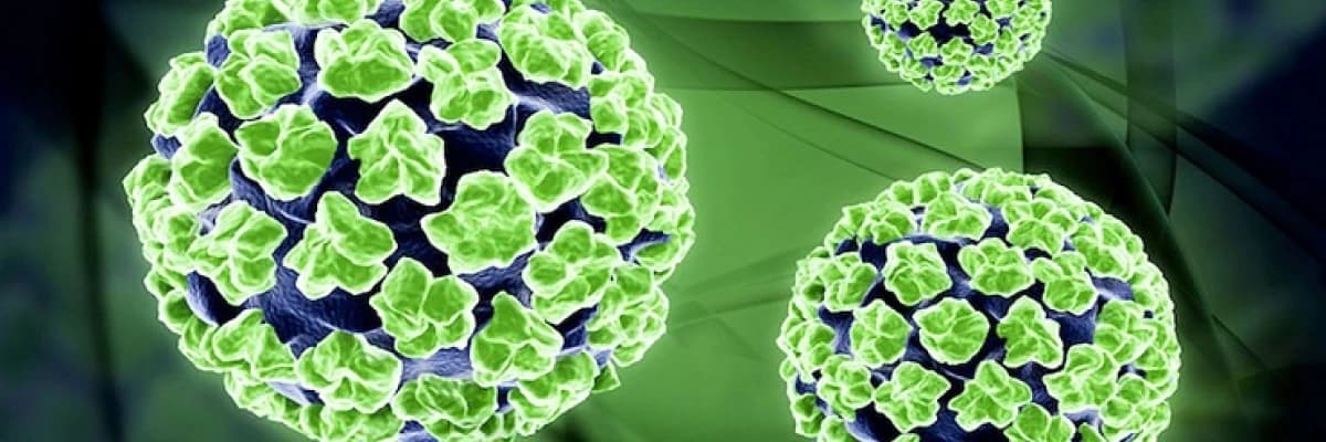 HPV (Human Papilloma Virüsü) aşılarında ne değişti?