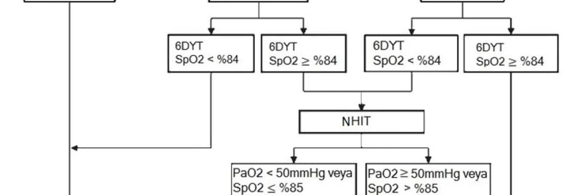 Uçak Yolculuğu ve Solunum Sistemi; Uçuş Öncesi Değerlendirme