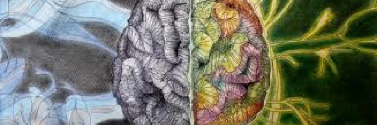 Sanrısal bozukluk (Delüzyonel Bozukluk) nedir? Tanısı nasıl konulur ve tedavisi nedir?