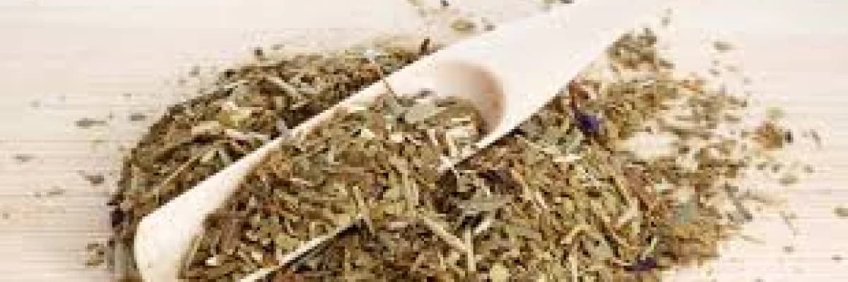 MATE ÇAYI VE VÜCUDA ETKİLERİ