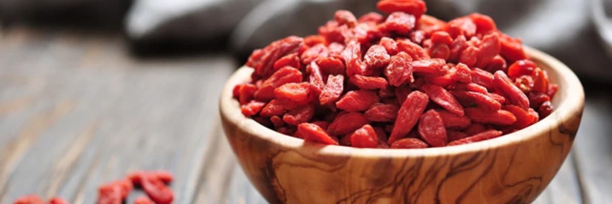 GOJİBERRY / KURT ÜZÜMÜ /TİBET ÜZÜMÜ
