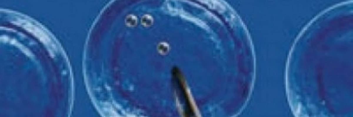 Yardımcı üreme teknikleri ve tüp bebek