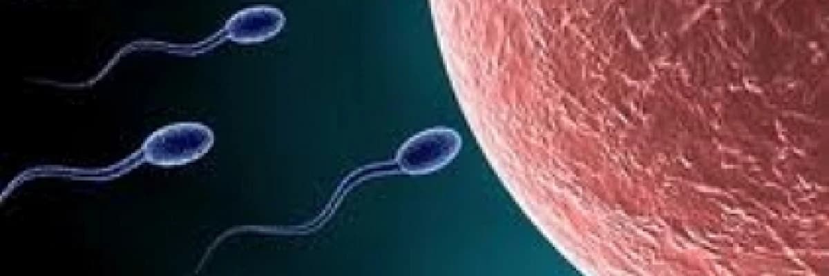 Mini Tüp Bebek ve Tedavisi