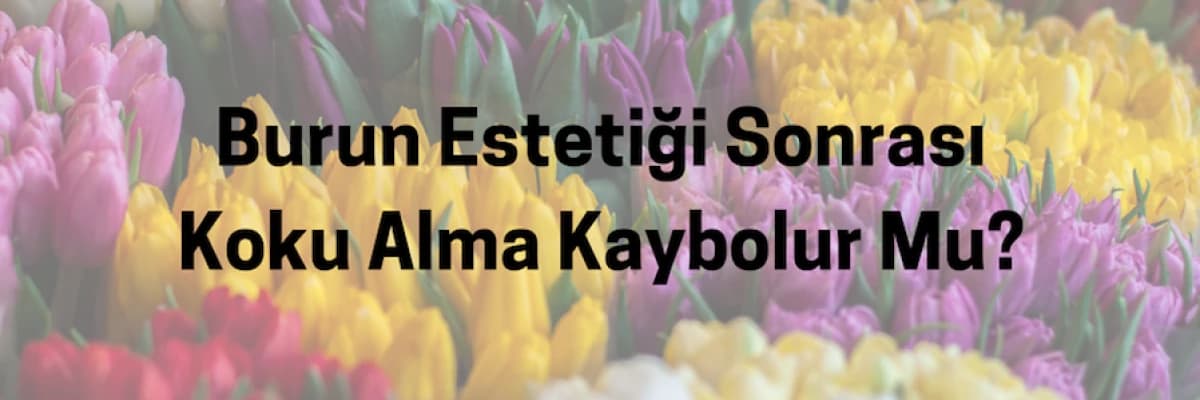 Burun Estetiği Ameliyatı Sonrası Koku Alma Kaybolur Mu?