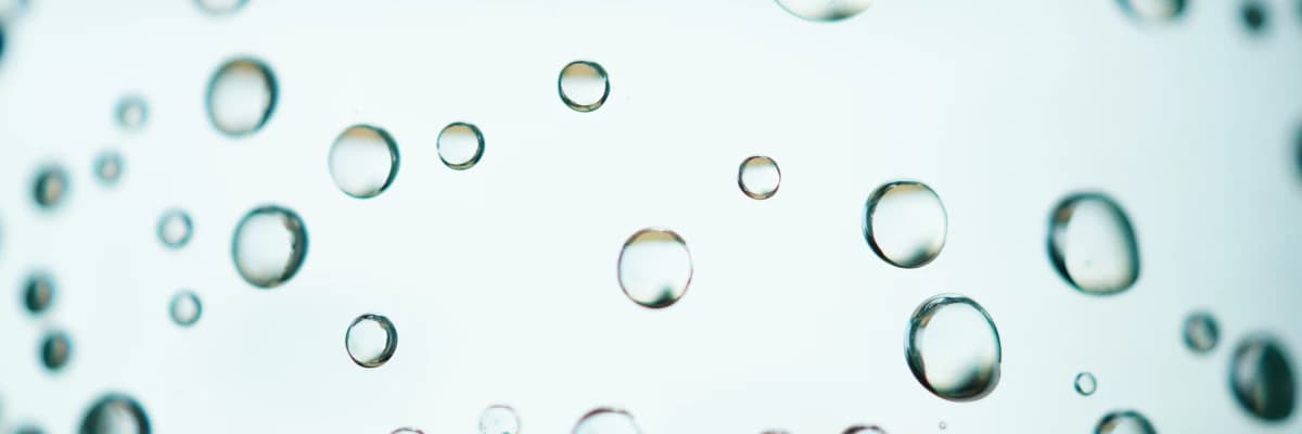 Probiyotik Ve Prebiyotiklerin Faydaları Nelerdir?