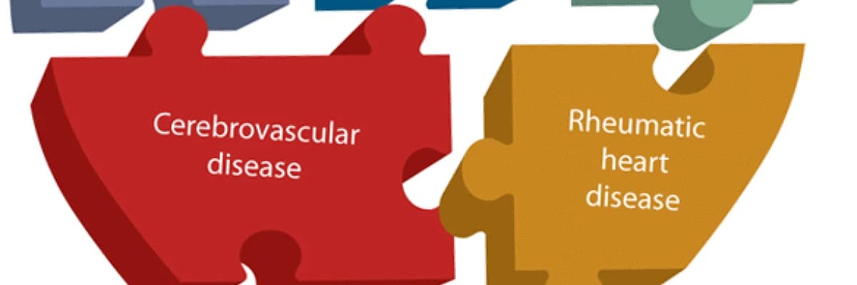 KARDİYOVASKÜLER HASTALIKLARA GENEL BAKIŞ