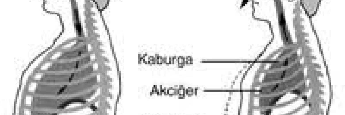 Diyafragma Tümörleri ve Cerrahisi