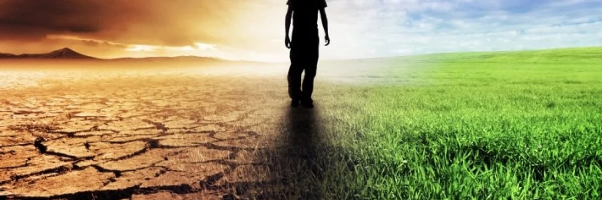 Değişimi Kabullenmek