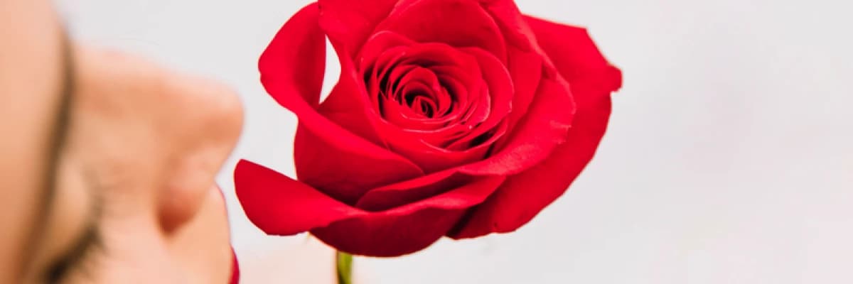 Burun Ameliyatı Sonrasında Koku Alma