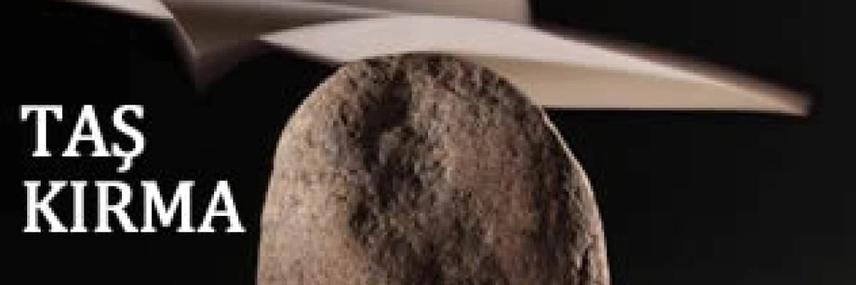 Taş kırma (eswl) - böbrek taşlarının neştersiz tedavisi