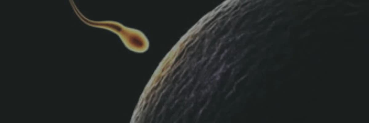 Hiç sperm olmaması – Azoospermi