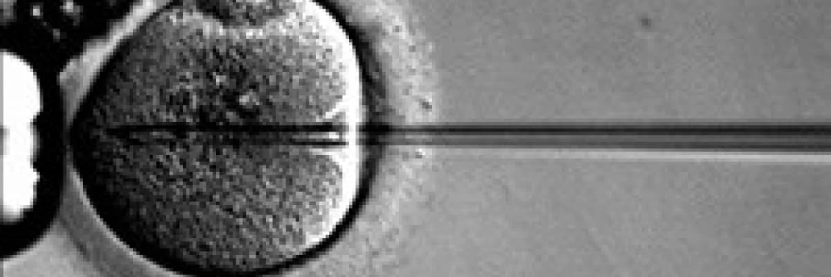 KISIRLIK (INFERTILITE) TEDAVISI (COCUK TEDAVISI)