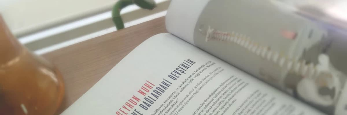 Ankilozan Spondilit ve Bağlardaki Gevşeklik