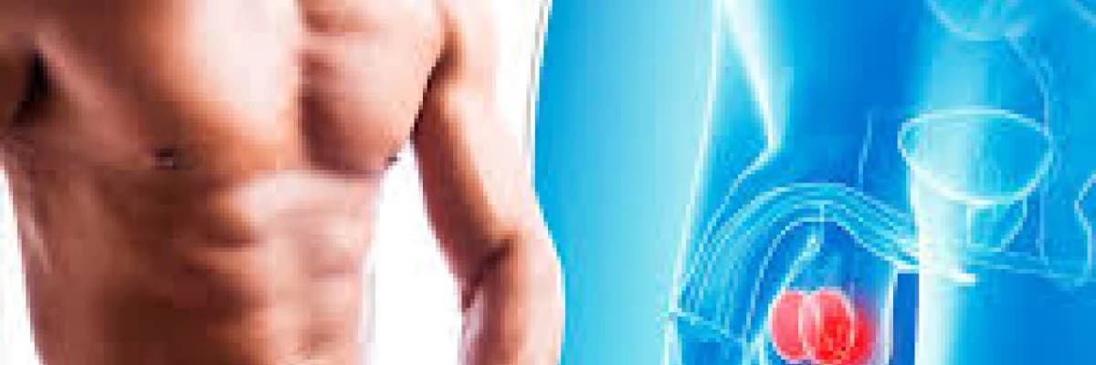 Genç yaşta en sık rastlanan  ürolojik kanser: Testis Kanseri