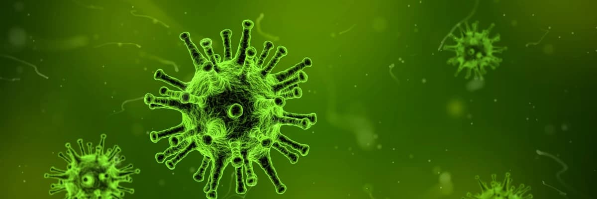 Genital siğilden ve hpv'den nasıl korunulur? Hpv öpüşmeyle bulaşır mı?