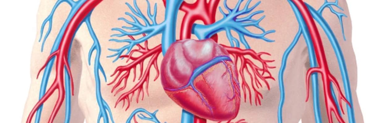 Yaşlı Bireylerde Kolesterol İlaçları Faydalı mı? Zararlı mı?