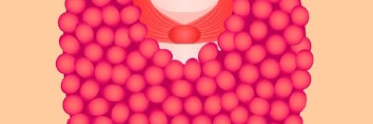 Tiroid tembelliğinde (hipotiroidizm) ilacın kullanma zamanının önemi var mı?